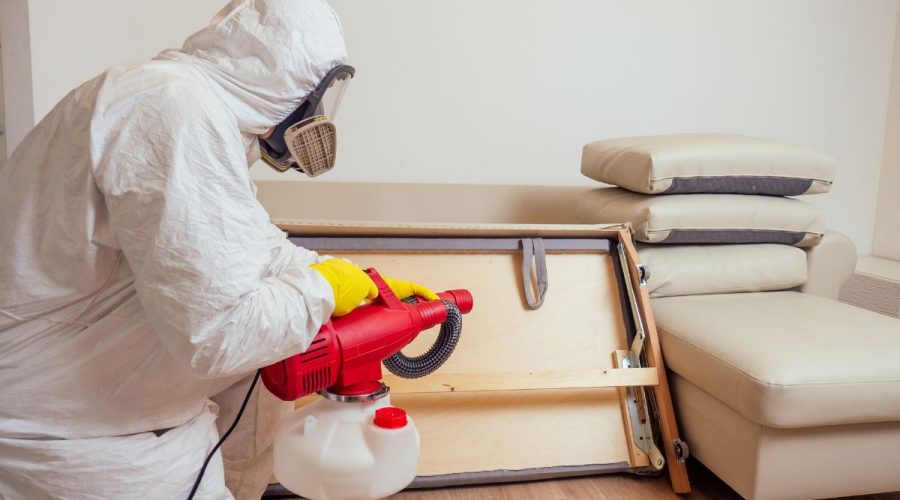 Safe Pest Control for Indoor Spaces