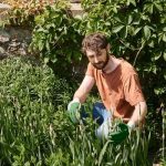 Growing Your Own Herb Garden: A Fresh Take
