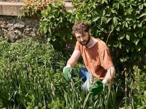 Growing Your Own Herb Garden: A Fresh Take