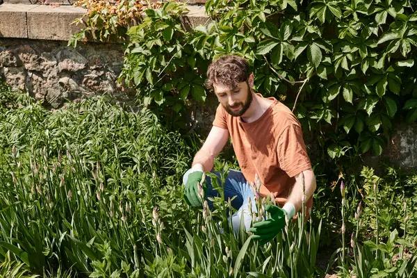 Growing Your Own Herb Garden: A Fresh Take